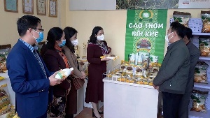 Khai trương điểm bán sản phẩm Ocop tại Thanh Oai và Mỹ Đức